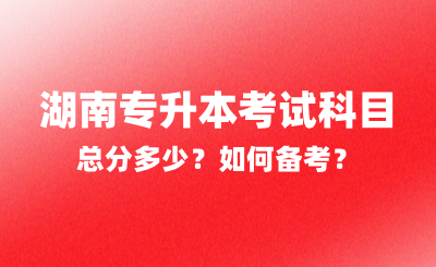 2025年湖南專升本考試科目總分多少？如何備考？