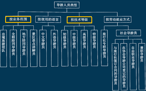 導游的類型