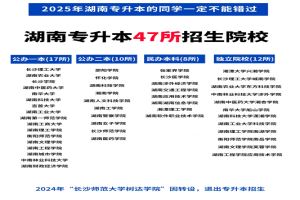 一文帶你了解湖南專升本，報(bào)名|備考本文全搞定